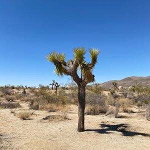 Meet your Posher, Vicky